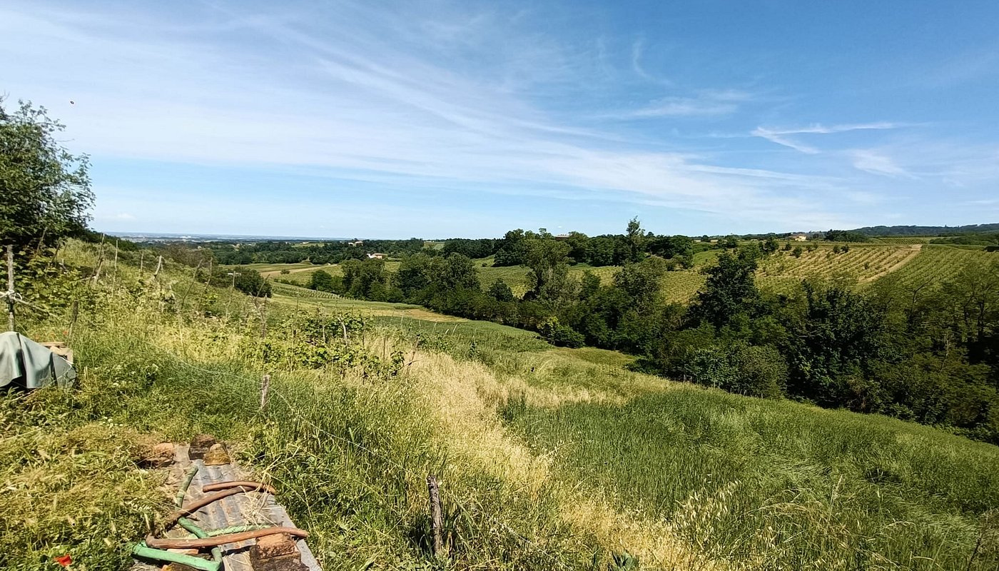 Le colline attorno a Casa dei Merli